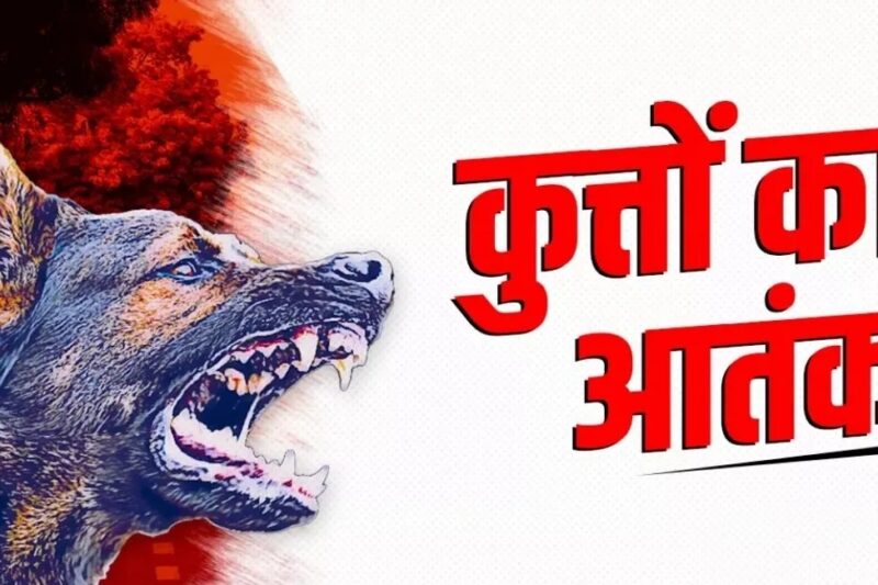 कक्षा में डर, आँखों में आँसू