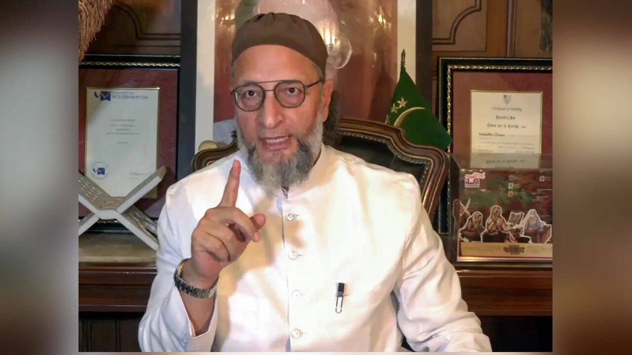 'By 2030, only one document ...': Owaisi takes dig at BJP after MEA's 'proof of citizenship' remark