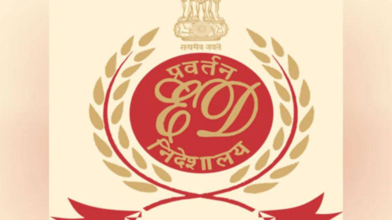 ED: Rajesh Exports probe revealed 3k crore trade set-offs