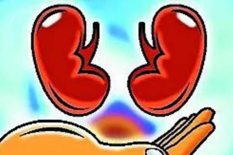 Hospitals told to make public their kidney transplant success rate