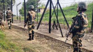 ‘Human shield’ on India border: Bangladesh opposition to launch protest over alleged 'push-ins'