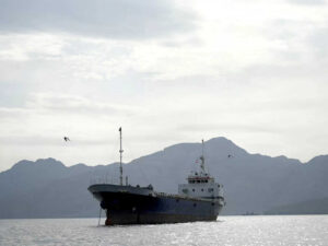 Rescued 14 Indians from sinking dhow, says US