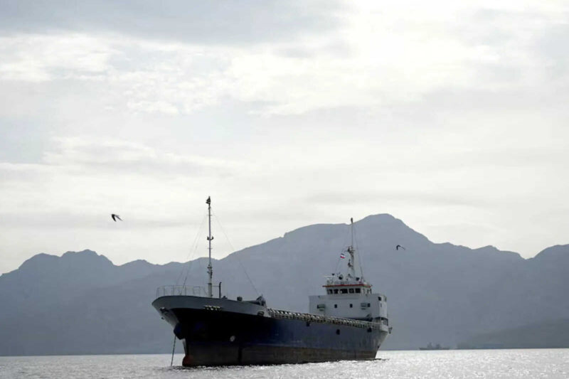 Rescued 14 Indians from sinking dhow, says US