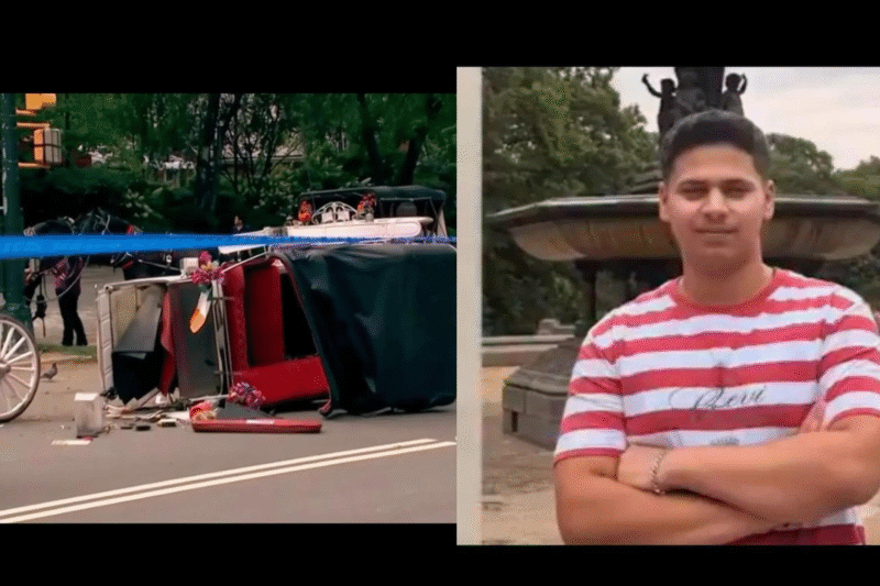 ‘Romanch's Law’: NYC bill which seeks to ban horse carriages named after Indian teen