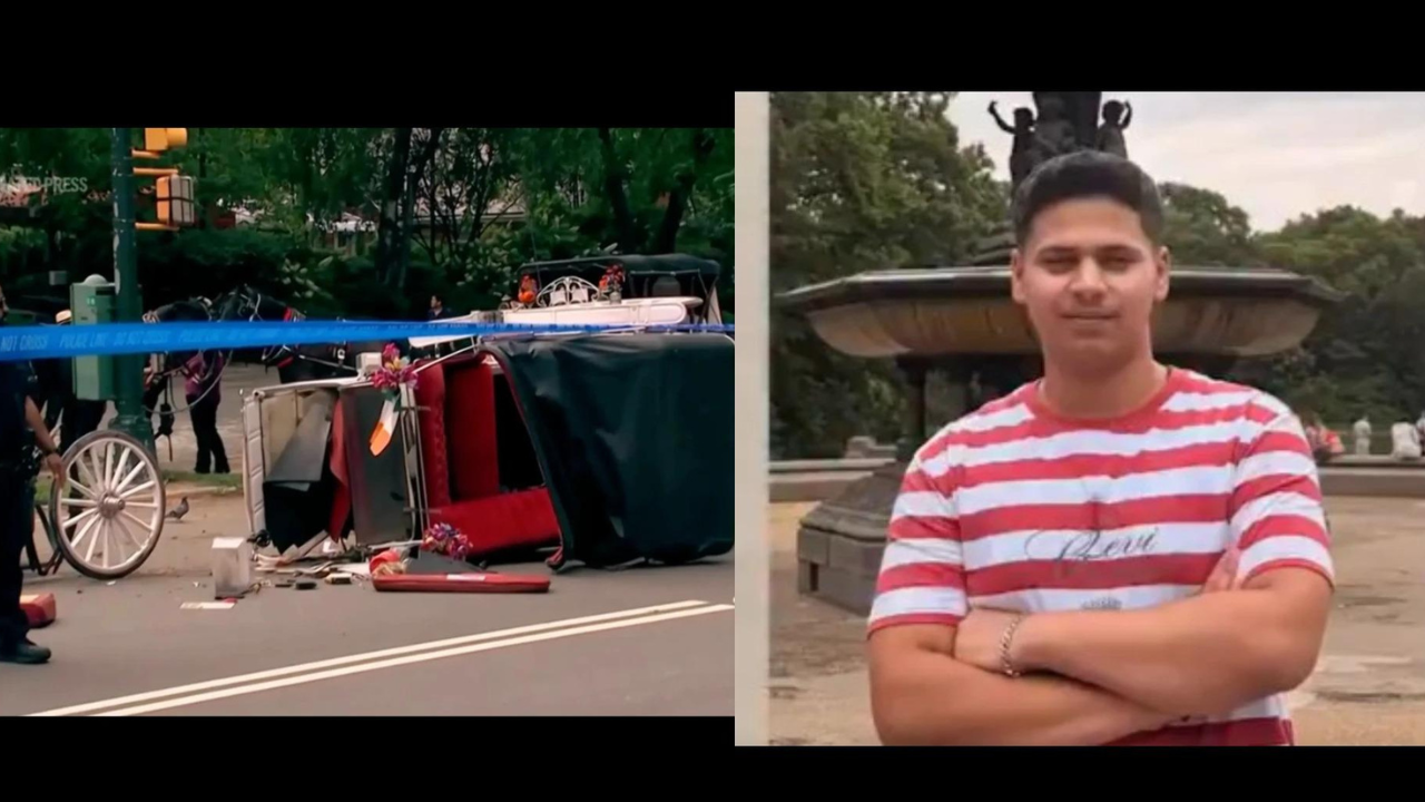 ‘Romanch's Law’: NYC bill which seeks to ban horse carriages named after Indian teen