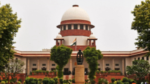 'You are nobody': SC rebukes 'so-called RTI activist', refuses anticipatory bail