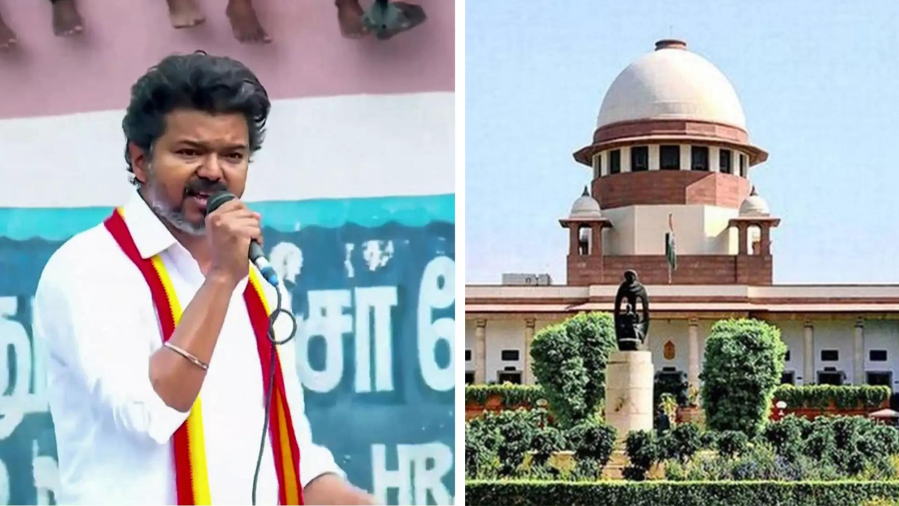 'HC went beyond ... ': Vijay-led Tamil Nadu government moves SC against order banning cow slaughter even on Bakrid