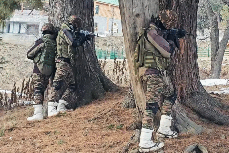 J&K: Gunshots heard during search operation in Shopian