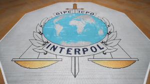 J&K: Interpol notice against Hizbul terrorist wanted in cop killings