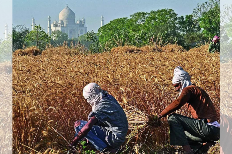 Statistics ministry flags serious gaps in agriculture data collection