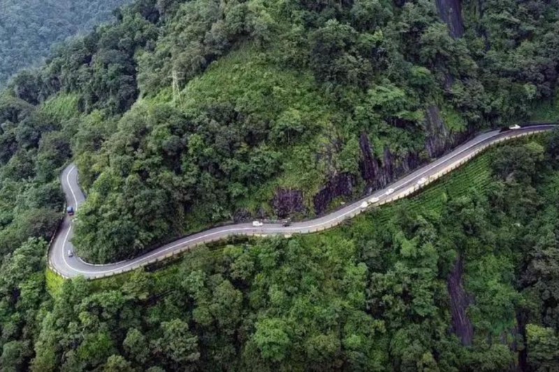 Worth more standing: India’s forests are a $2.5-trillion asset we keep forgetting to count